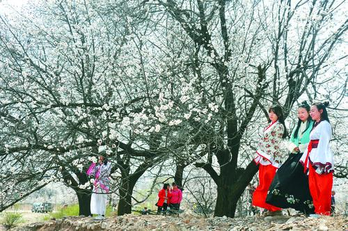 2026中超免费直播 赛事封面